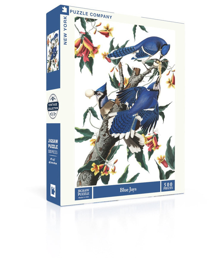 Blue Jays Image 1