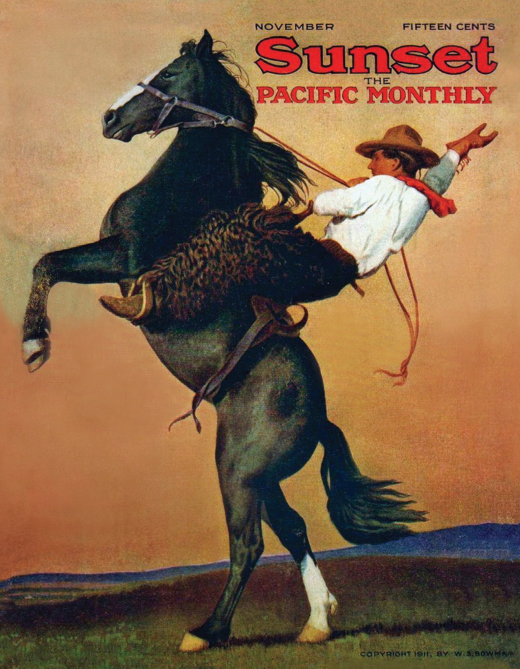 Bucking Bronco Mini Image 3