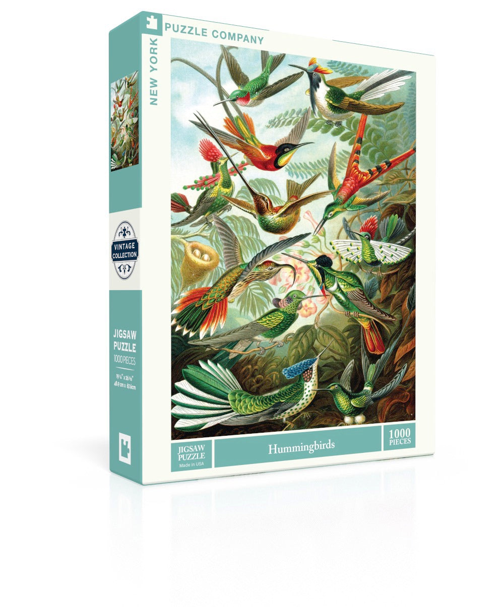 Hummingbirds Image 1