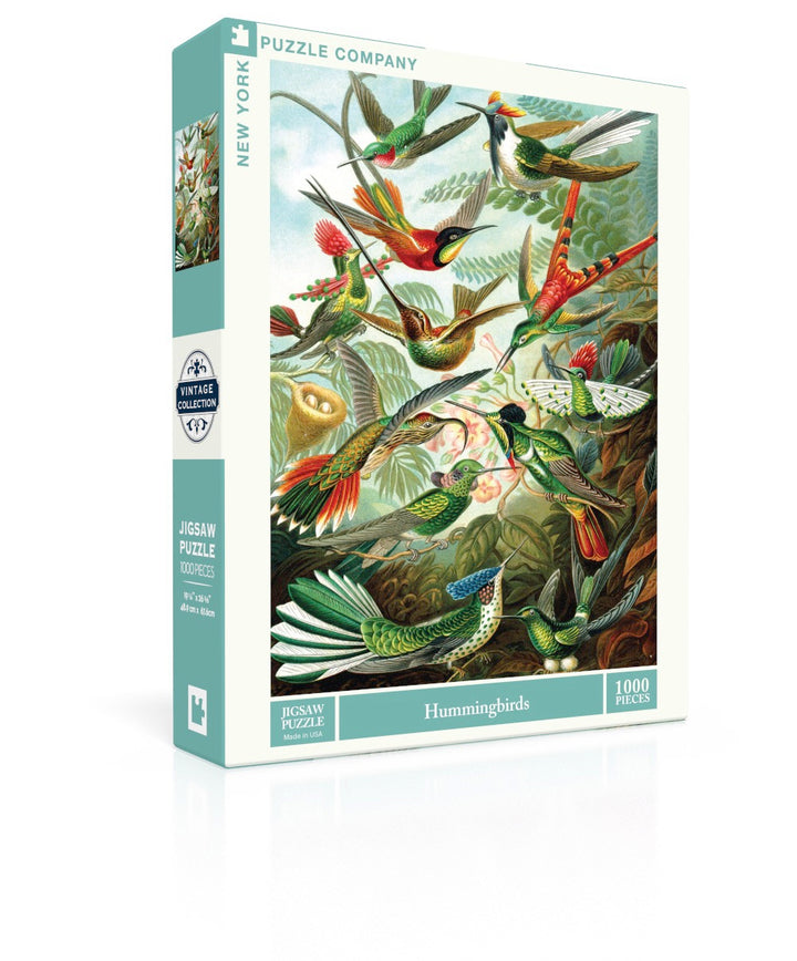 Hummingbirds Image 1