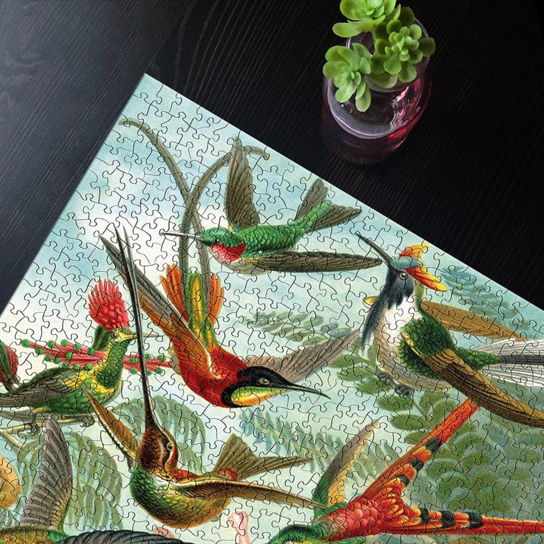 Hummingbirds - 1000 Piece Vintage Images Jigsaw Puzzle – New