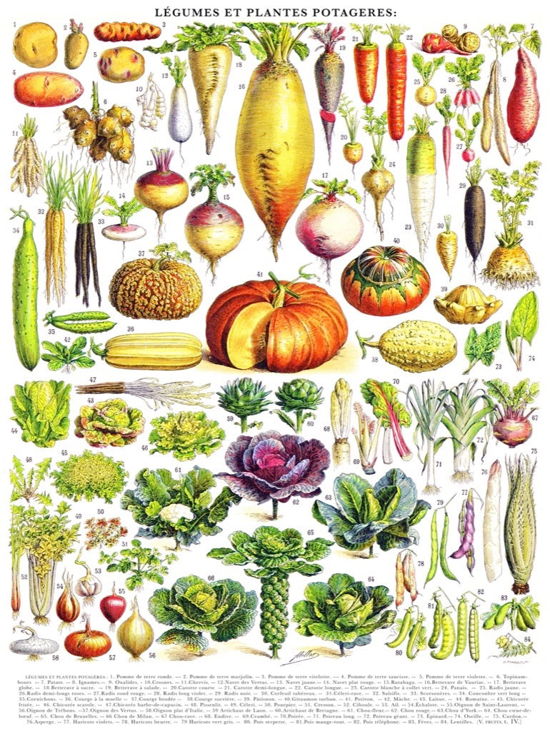 Vegetables ~ Légumes Image 3