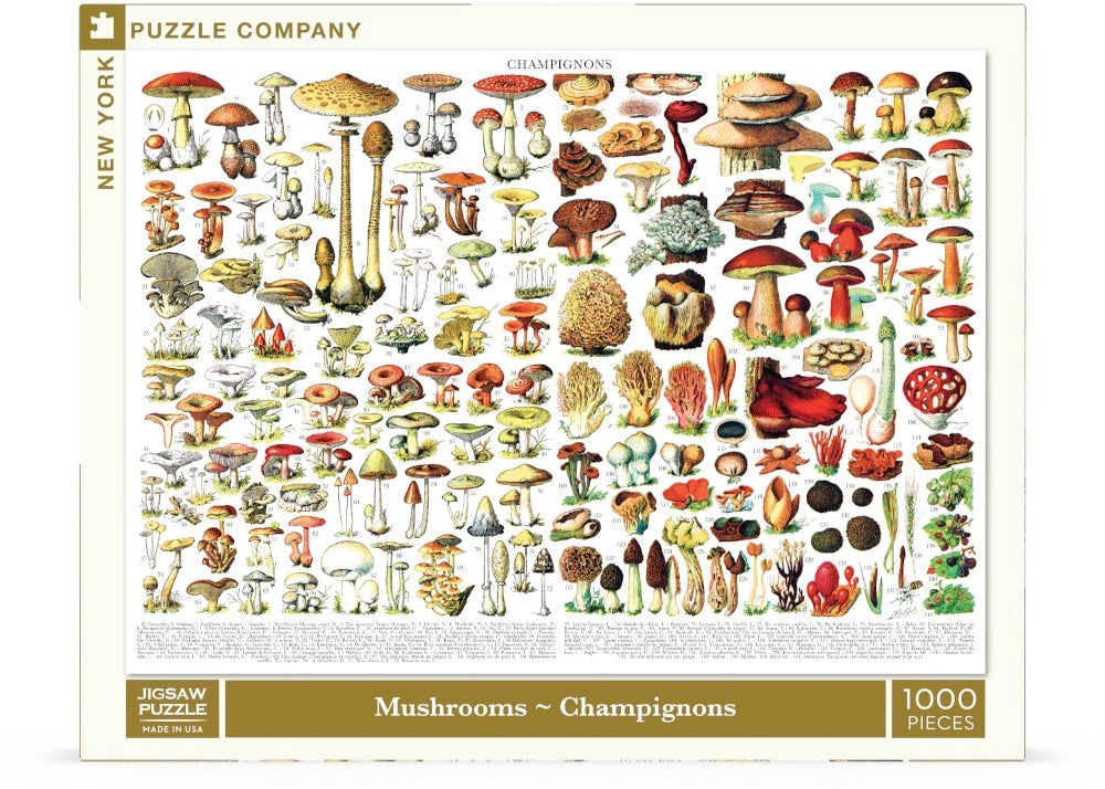 Mushrooms ~ Champignons Image 2