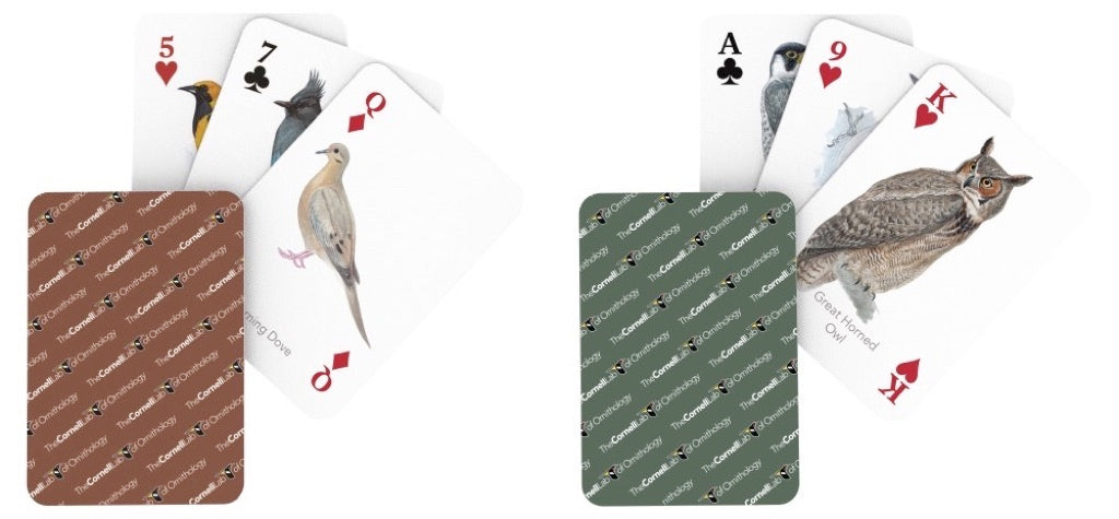 Cornell Birds Double Deck Playing Cards