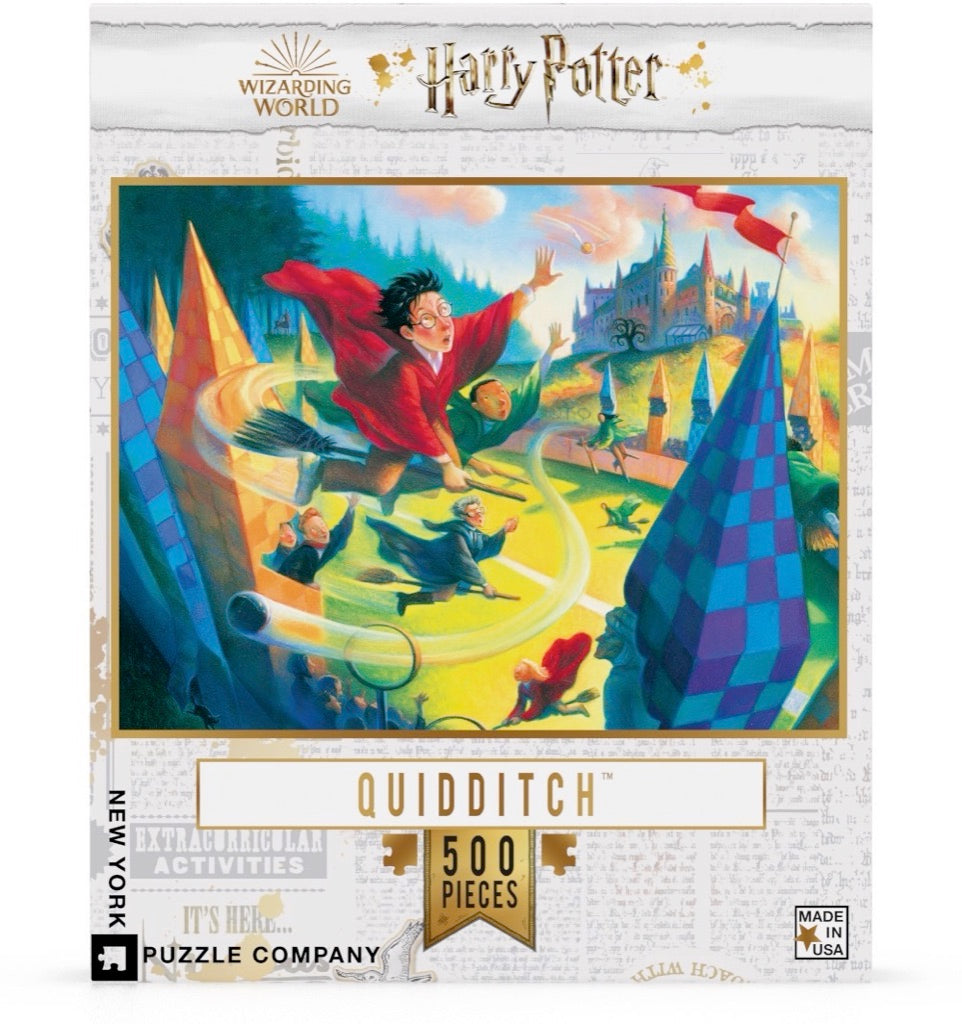 Quidditch 500