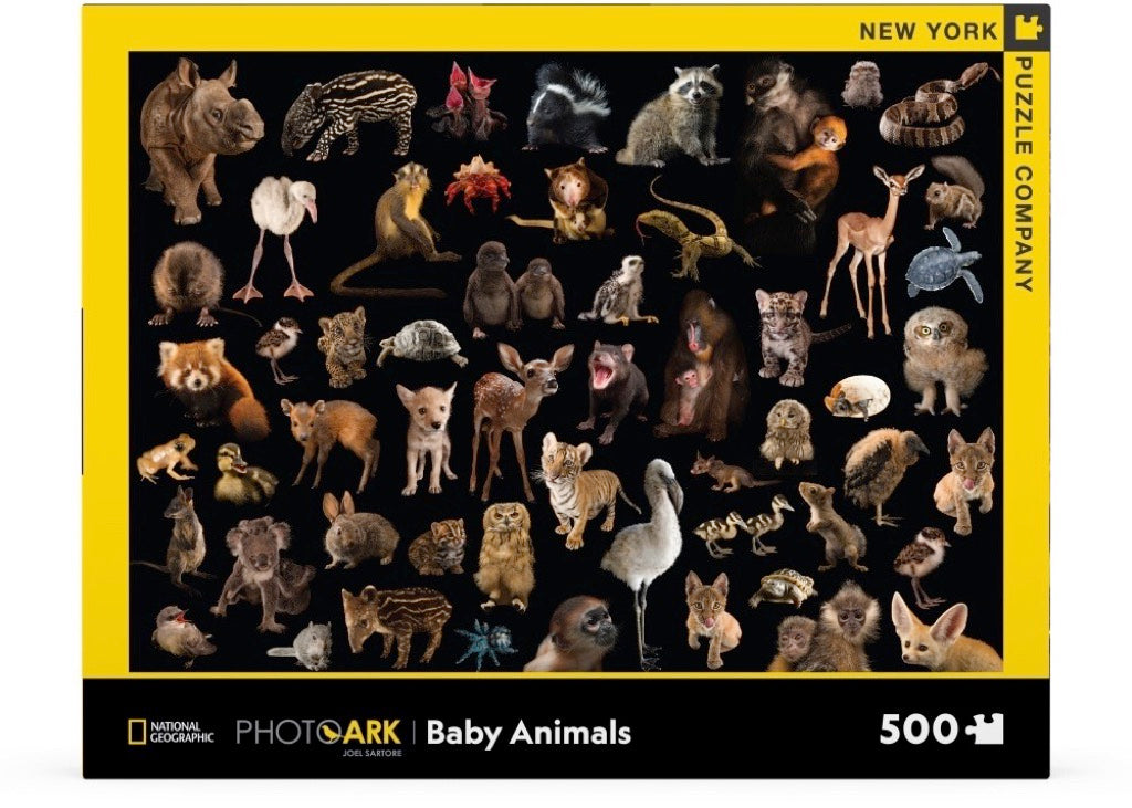 Photo Ark Baby Animals
