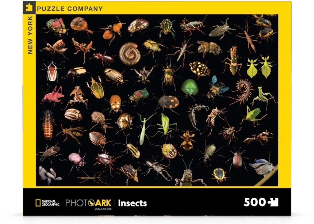 Photo Ark Insects