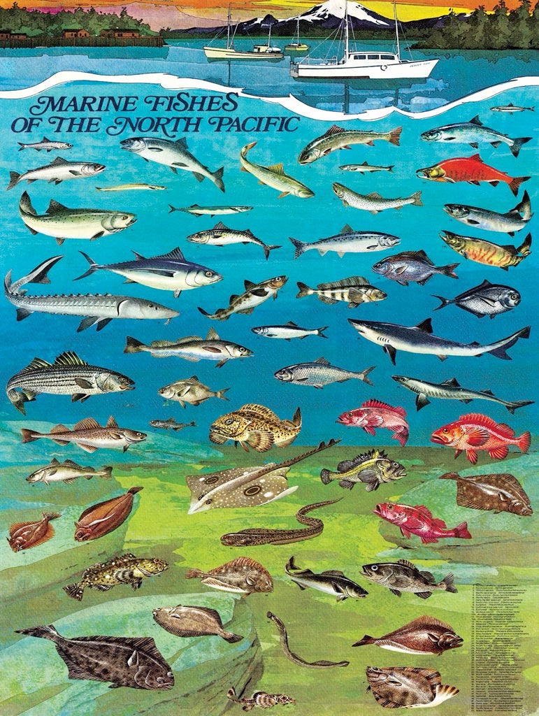Fishes of the North Pacific
