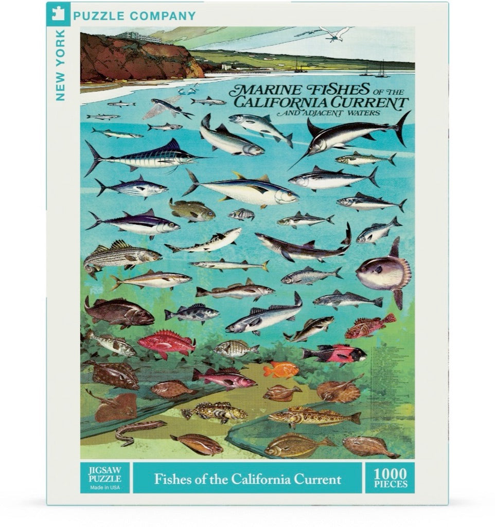 Fishes of the California Current