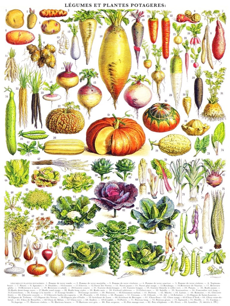 Vegetables ~ Légumes
